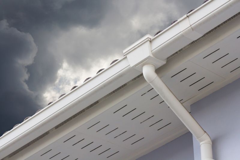 Box Gutter Repair in Longmont, CO